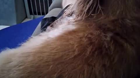 smokynight online show from 09.26.25