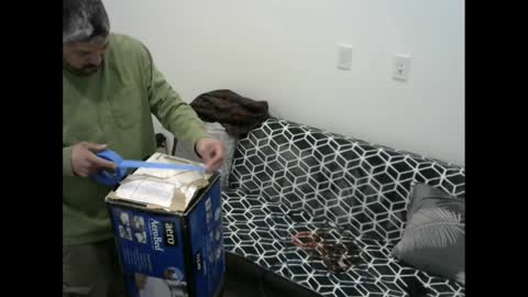 snizniz online show from 02.11.25