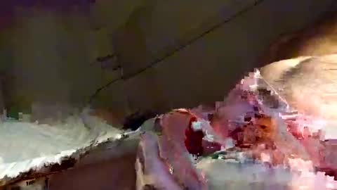 Snooty online show from 01.16.25