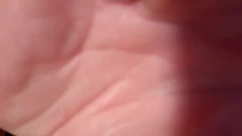 Snooty online show from 02.10.25