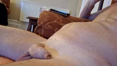 Snooty online show from 03.01.25