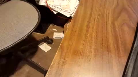 Snapshot of snowboarder699 chatting on 02.15.26 watchmecum online show from 02.15.26