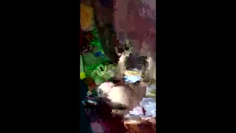 snqhephncxpu online show from 04.14.26