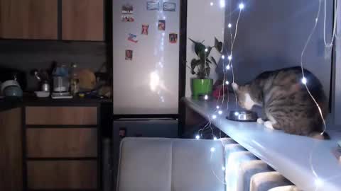 Sofi online show from 01.19.25