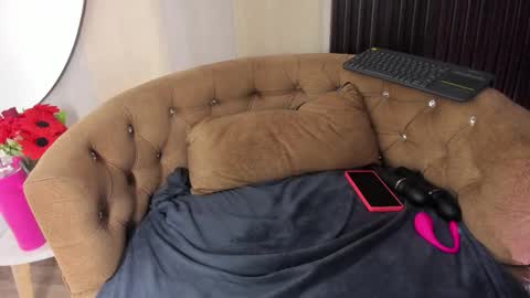 SOFIA online show from 02.27.26