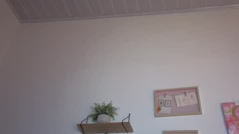     online show from 11.15.25