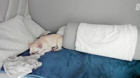 sofia_rivers_ online show from 03.01.25