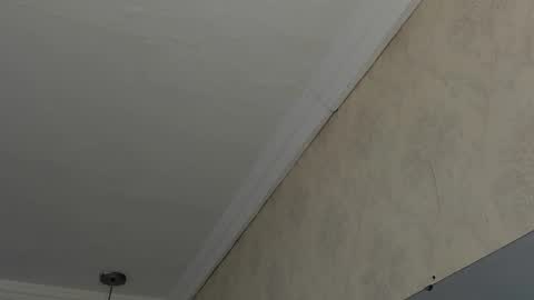 Sofi - next broadcast today 1030pm Colombia time online show from 02.26.25