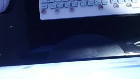 SOFIA NIX online show from 01.13.25