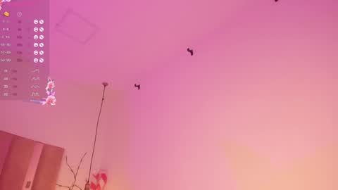 Sofie online show from 12.27.24