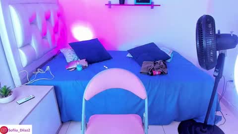  Sofa Daz  online show from 03.12.25