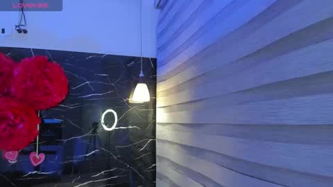 Snapshot of sofiia_rubb chatting on 02.24.26 Sofia online show from 02.24.26