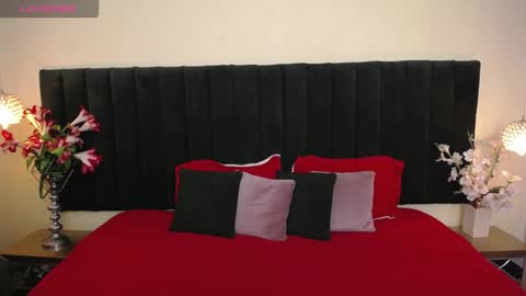 Snapshot of soft_attraction chatting on 03.03.26 Cam and Amy online show from 03.03.26