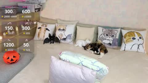 Snapshot of soft_purr_kitty chatting on 10.31.25 Mia online show from 10.31.25