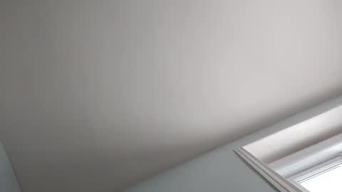 SOFT online show from 01.12.25