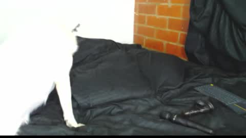 Snapshot of sofy_dep chatting on 02.21.26 Sofy online show from 02.21.26