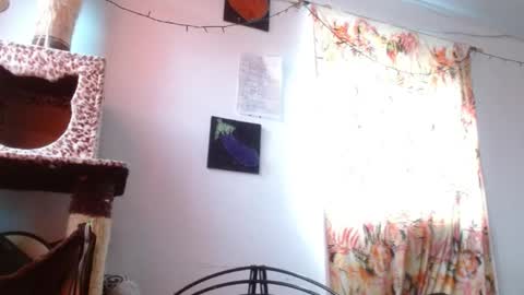 Sofia online show from 01.06.26