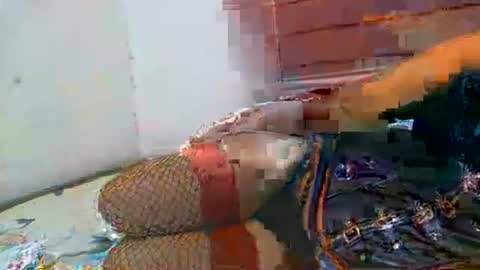 Soulless Jenica online show from 04.21.26