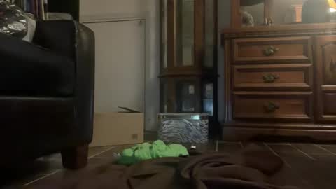 Southernblueyes online show from 04.11.26