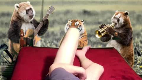 soymigo online show from 02.11.26