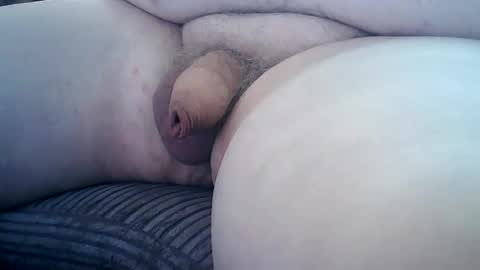 splitter60 online show from 03.02.26