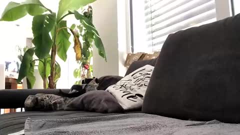 Spritzer669 online show from 12.13.24