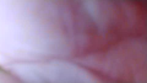 Snapshot of spun_horndaddy chatting on 11.04.25 SpunSlut online show from 11.04.25