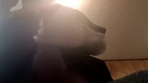 Snapshot of spundsrt chatting on 02.24.25 spundsrt online show from 02.24.25