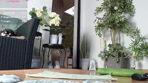 Snapshot of squirtmanica chatting on 01.01.25 Monica online show from 01.01.25