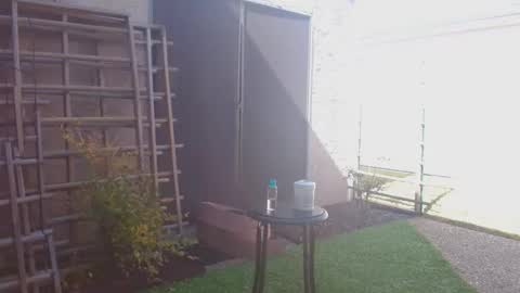 srtxshow online show from 02.07.26