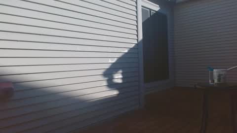 srtxshow online show from 02.09.26