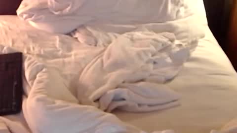 Snapshot of st8llion chatting on 01.11.25 st8llion online show from 01.11.25