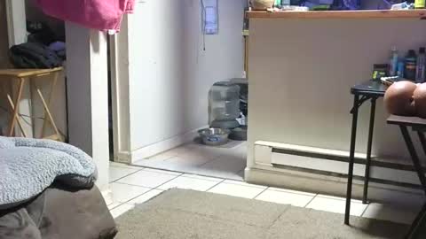 Snapshot of stacytasteme chatting on 10.23.25 Submissive Slut LOVES adoration online show from 10.23.25