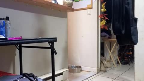 Submissive Slut LOVES adoration online show from 11.20.25