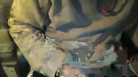 CIPPALIPPA online show from 11.08.25