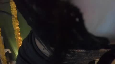 star_sub1 online show from 04.12.26