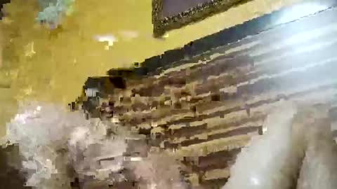 stchelly627 online show from 03.08.26