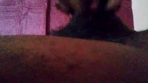 Snapshot of stebel666185 chatting on 09.22.25 stebel666185 online show from 09.22.25