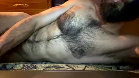 Lobo del Antiguo Oriente online show from 04.06.26