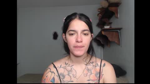 Snapshot of stella_art chatting on 02.20.26 Stella online show from 02.20.26