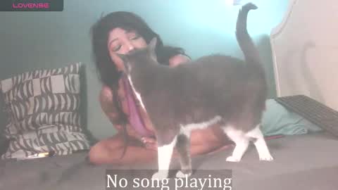 Snapshot of stella_clitella chatting on 10.03.25 Stella Clitella online show from 10.03.25