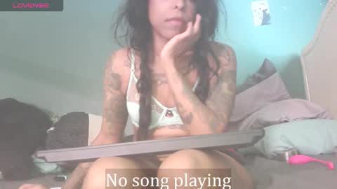 Snapshot of stella_clitella chatting on 11.22.25 Stella Clitella online show from 11.22.25