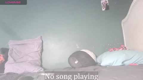 Snapshot of stella_clitella chatting on 11.24.25 Stella Clitella online show from 11.24.25