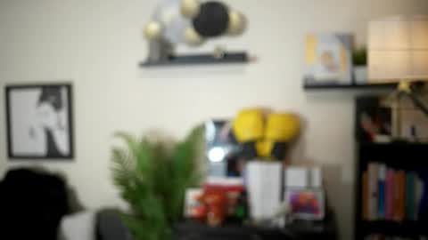 Stella online show from 01.11.26