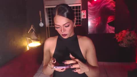 stella online show from 11.11.25