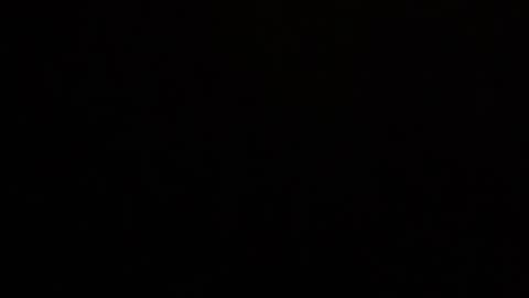 Stella Bella online show from 04.05.26