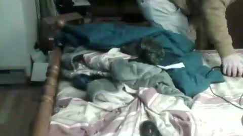 Ian23602 online show from 01.17.25