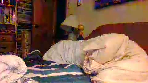 Ian23602 online show from 12.19.25