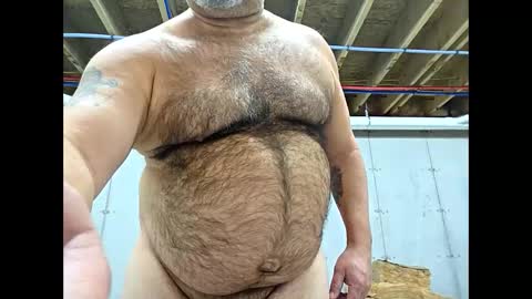 steved6001 online show from 02.03.26