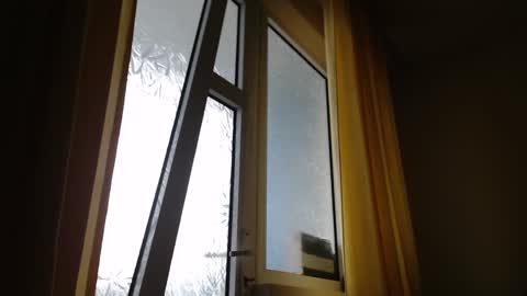 Steven online show from 01.26.25